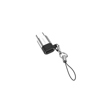 Earldom TC15 Tak Çalıştır Type-C to Lightning Dönüştürücü - Gümüş