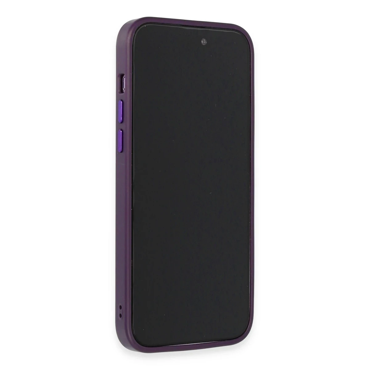 HDD Apple iPhone 14 Pro Kılıf HBC-160 Almera Taşlı Kapak - Derin Mor