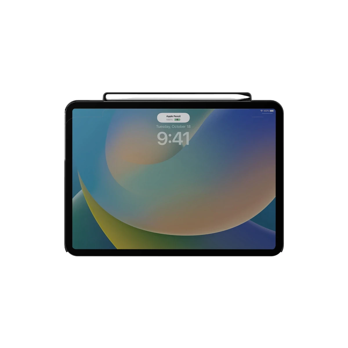 Uniq Apple iPad Pro 11 (2022) Axel Manyetik Tablet Kılıf - Siyah