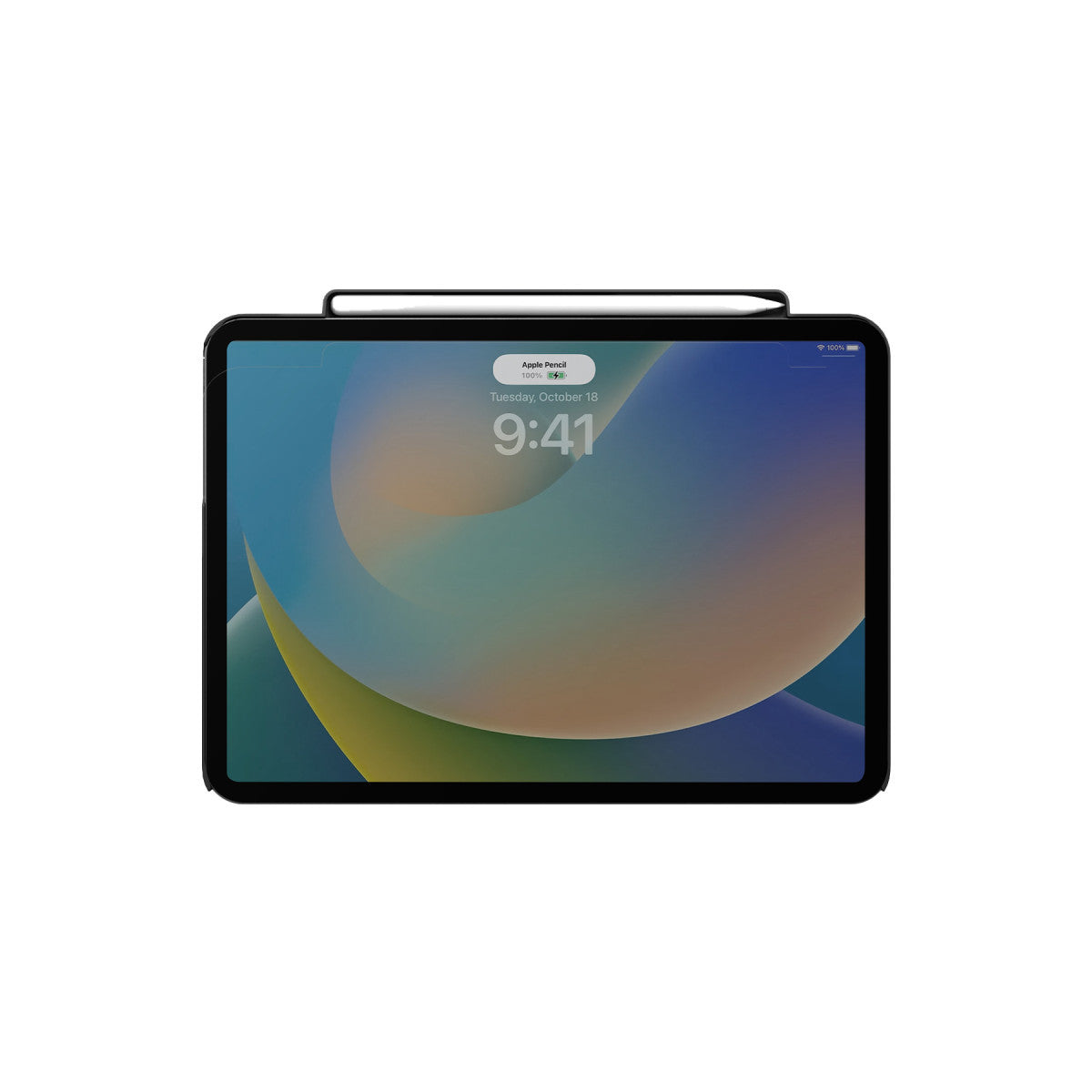 Uniq Apple iPad Pro 11 (2022) Axel Manyetik Tablet Kılıf